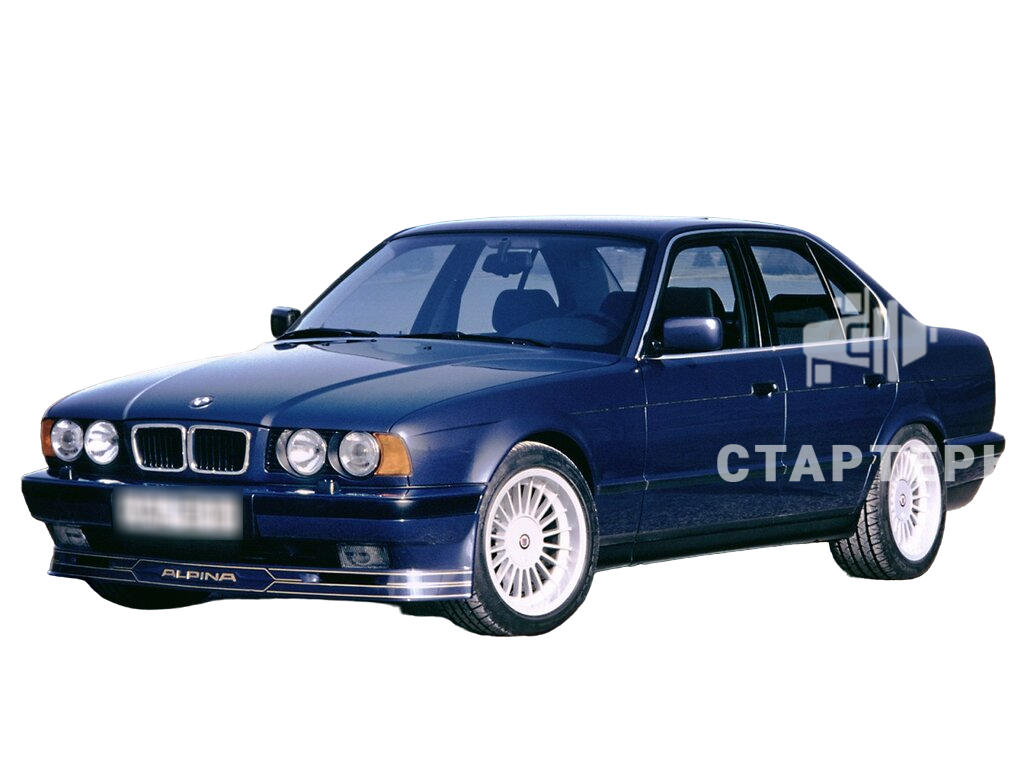 Альпина В10 2