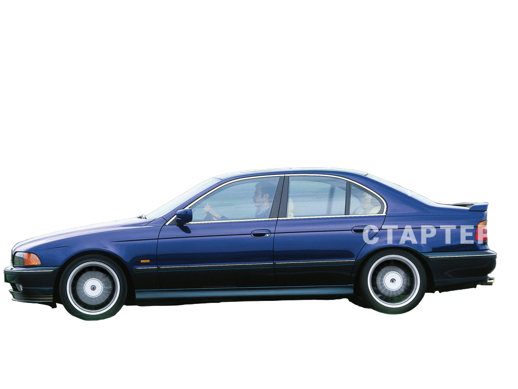 Альпина В10