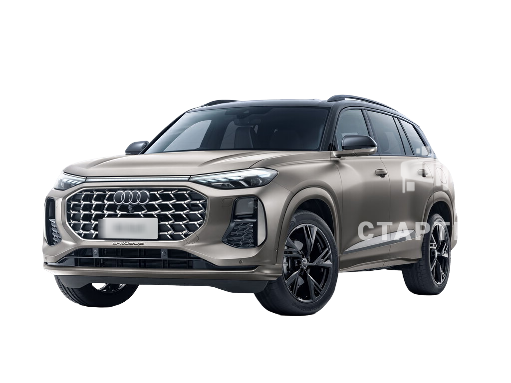Ауди Q6 1